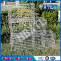 Barrière de maille grillage Gabion boîte